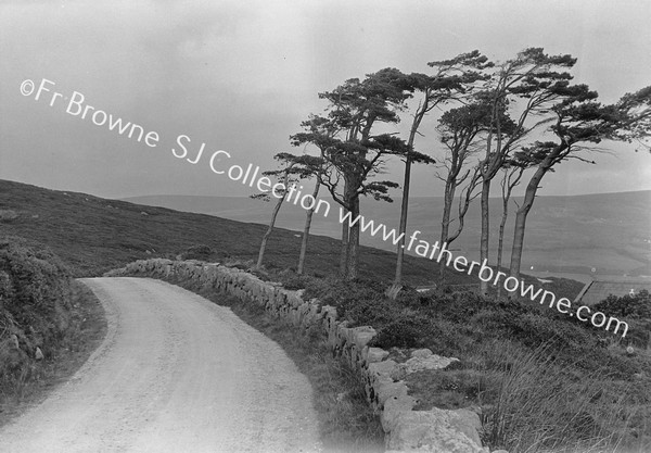 IN THE WICKLOW HILLS : THE ROAD